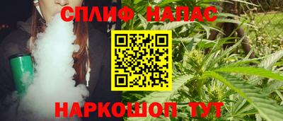 винт Дубна
