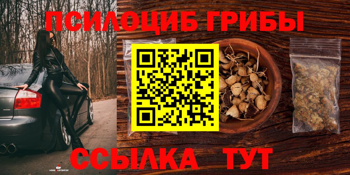 Менделеевск  Псилоцибиновые грибы ЛСД  Галлюциногенные грибы прущие грибы  Вход с VPN 